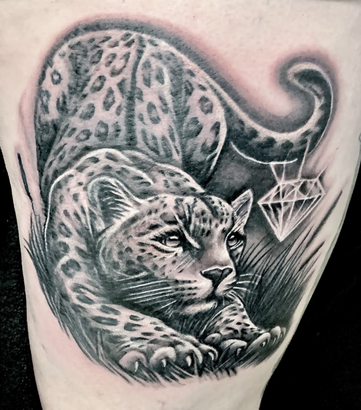 Atomic Garden Tattoo tattoo parlor in Fitchburg, WI