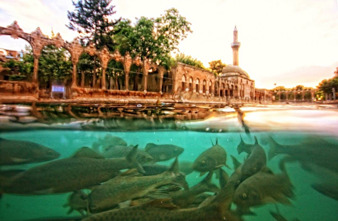 Balıklıgöl mekanı