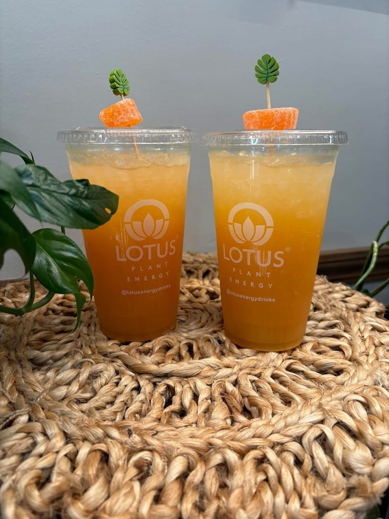 Leafy Lounge photo 2