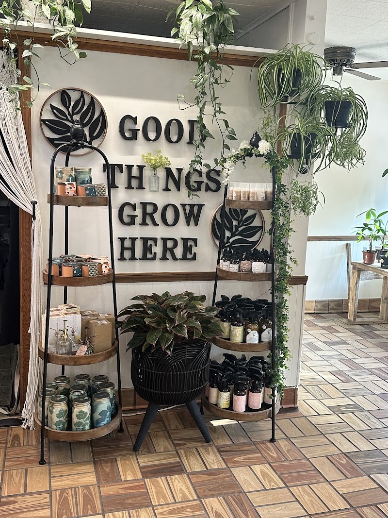 Leafy Lounge photo 1