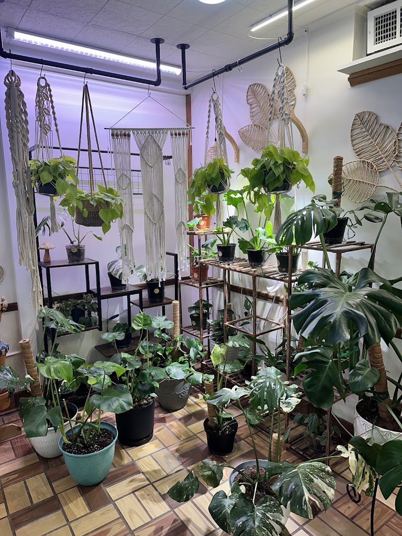 Leafy Lounge photo 4