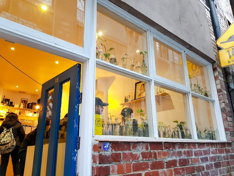 Little Rogue. photo 1