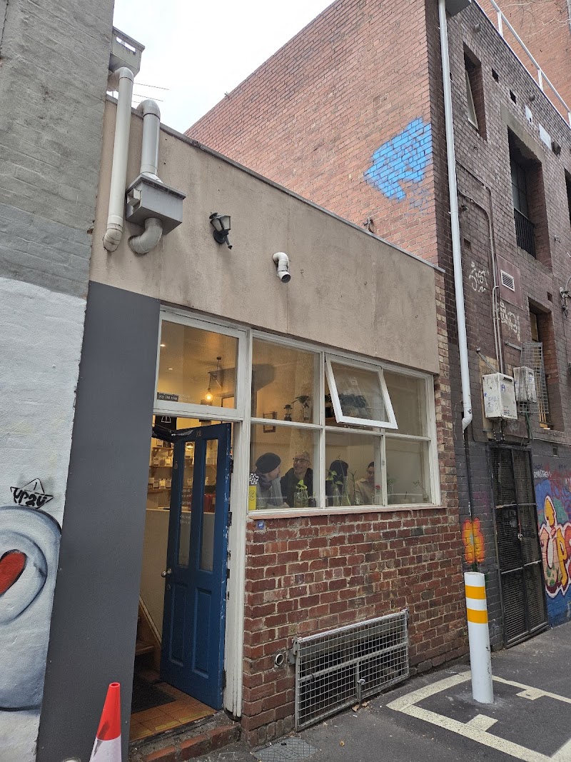 Little Rogue. photo 6