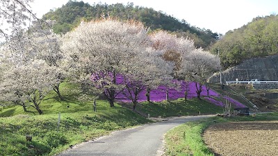 Kawabe Townscape - 2