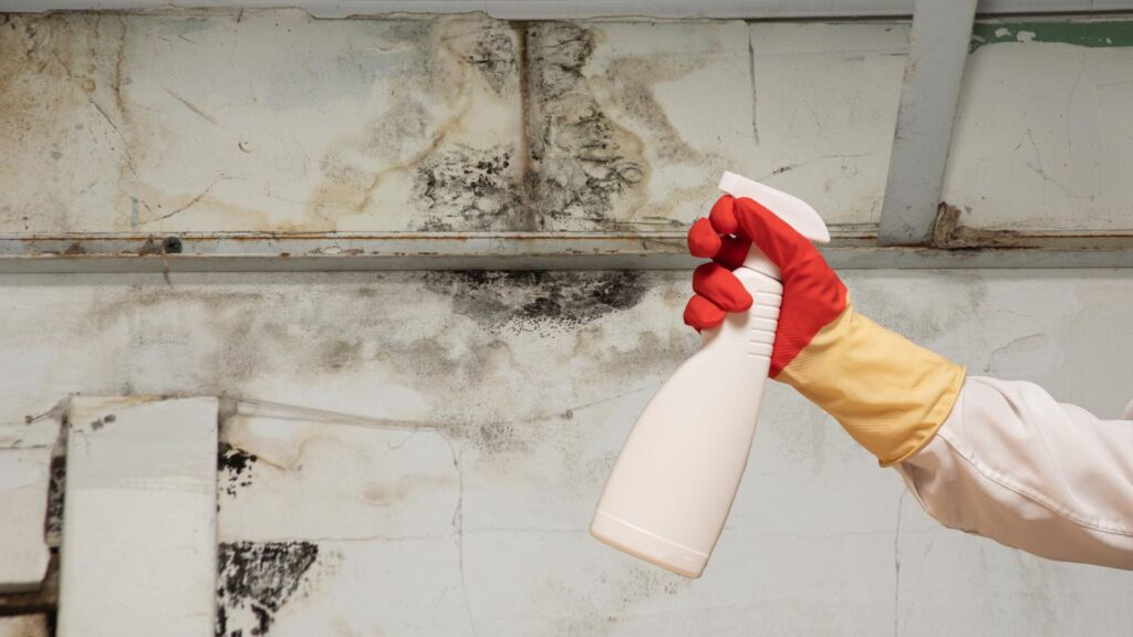 Pittsburgh Mold Removal Solutions — photo