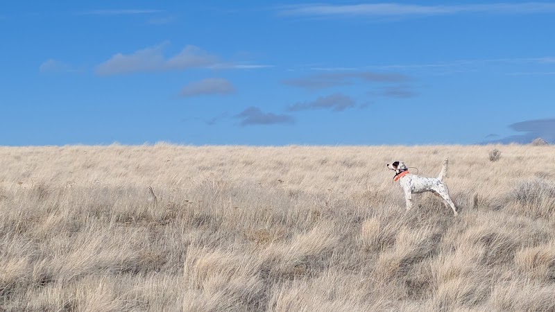 Highland Hills Ranch - Photo 6