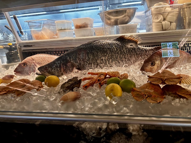 Blackbird Melbourne photo 3