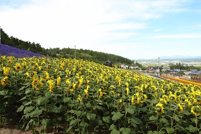 Nakafurano Hokusei Ski Area - 5