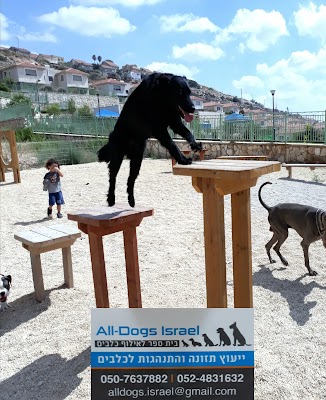 ALL DOGS. ISRAEL