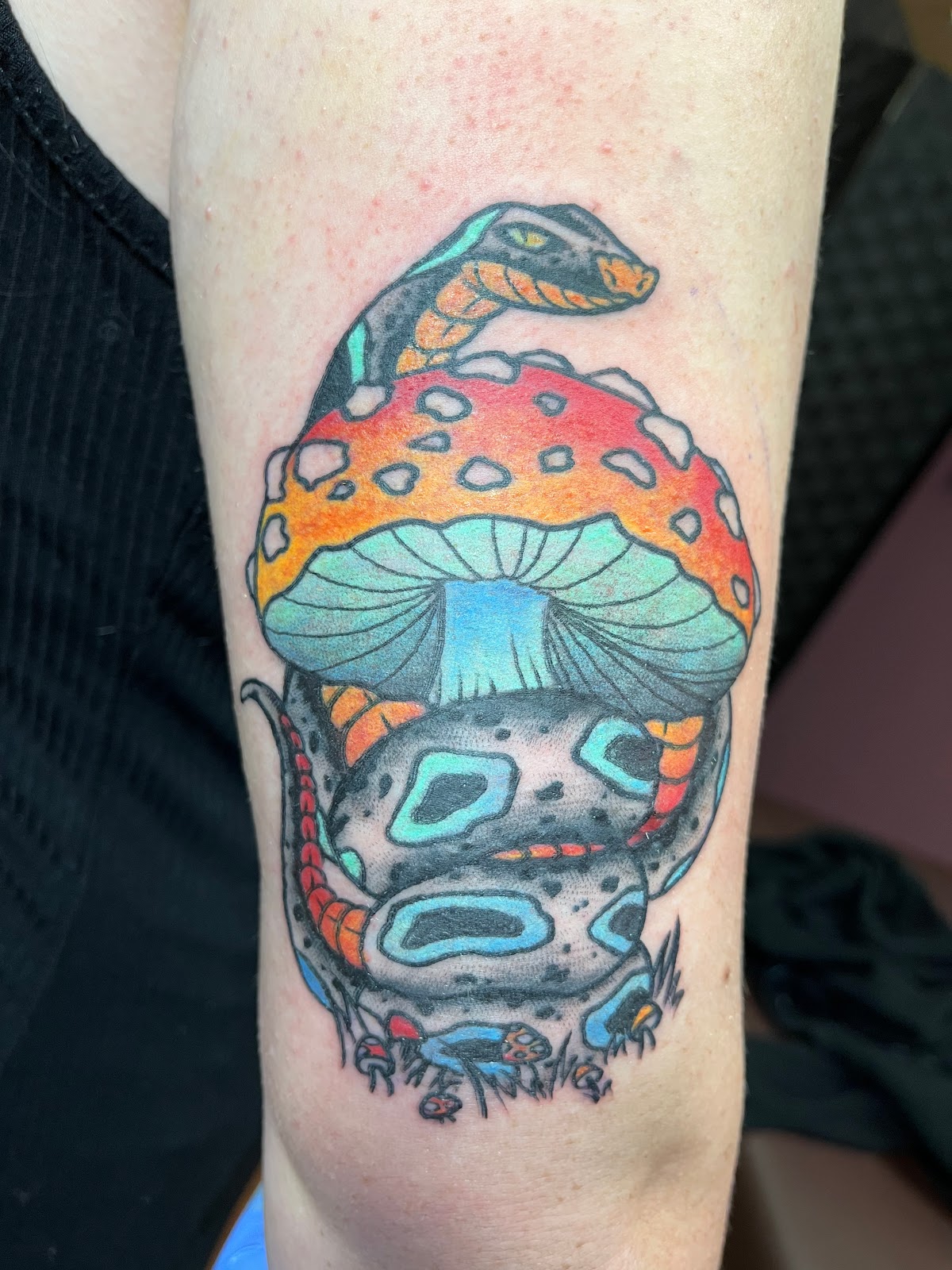 Blue Jay Tattoo tattoo work — photo 3
