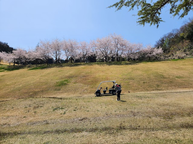 Oyama Camellia Country Club - Photo 10