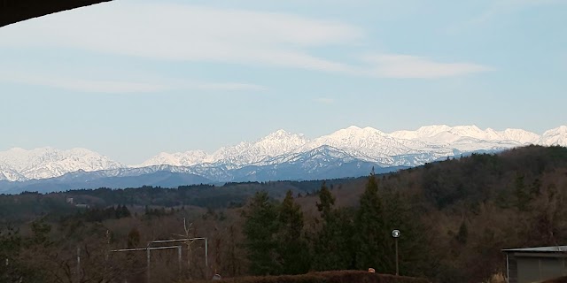 Oyama Camellia Country Club - Photo 5
