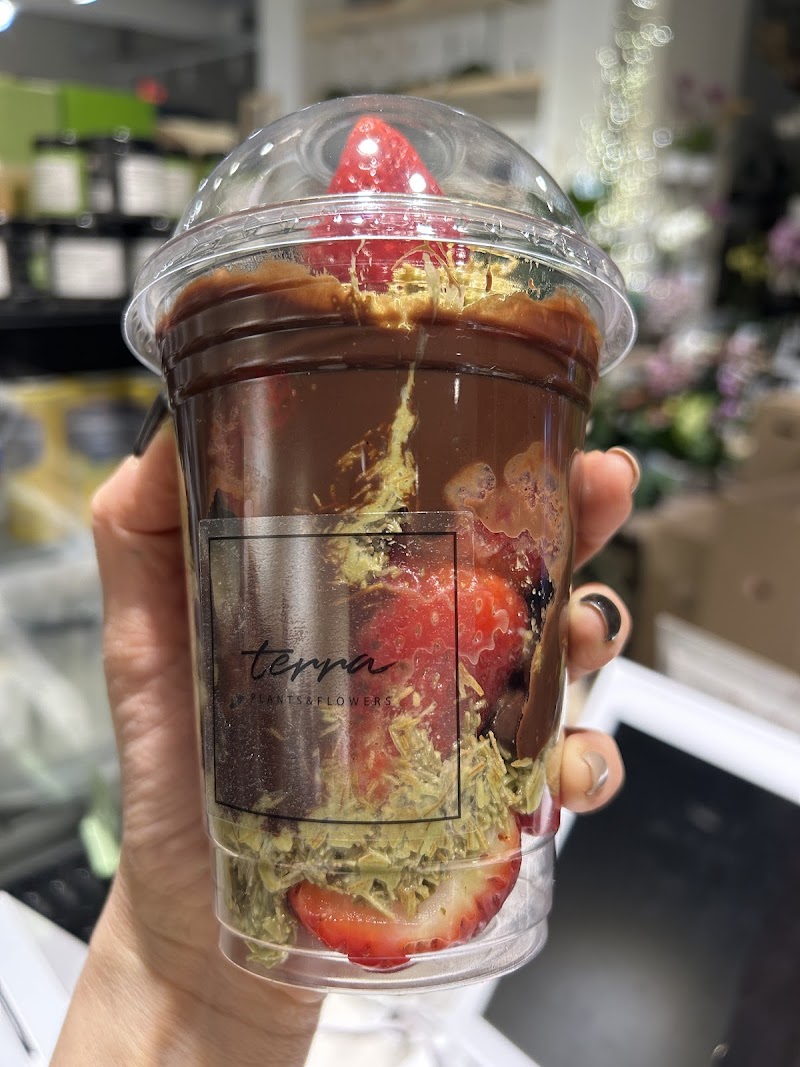 Terra Flowers & Flavours Cafe Barrhaven photo 4