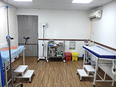 Bloom Clinic for Women | Best Gynecologist in CP, Delhi | IVF Centre, PCOD, PCOS, Fertility Treatment Clinic - Image 2