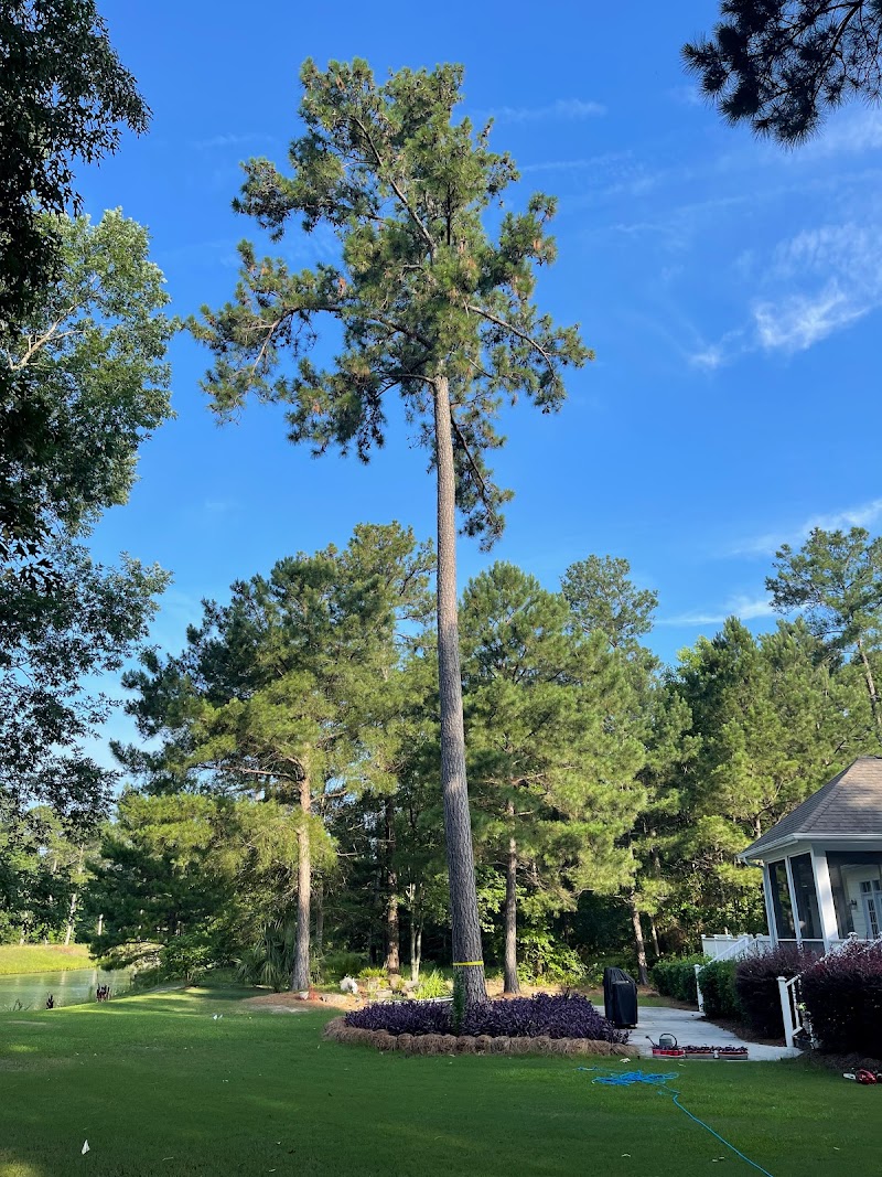 Campbell's Tree Service, LLC