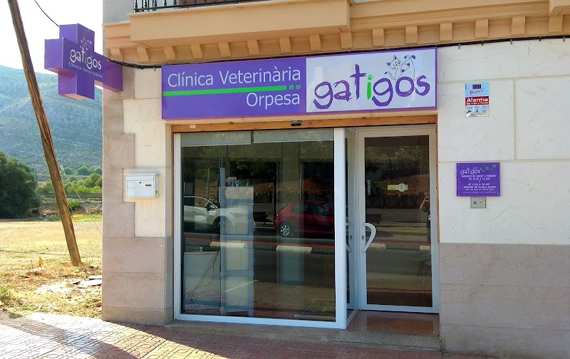 Clínica Veterinària Orpesa Gat i Gos
