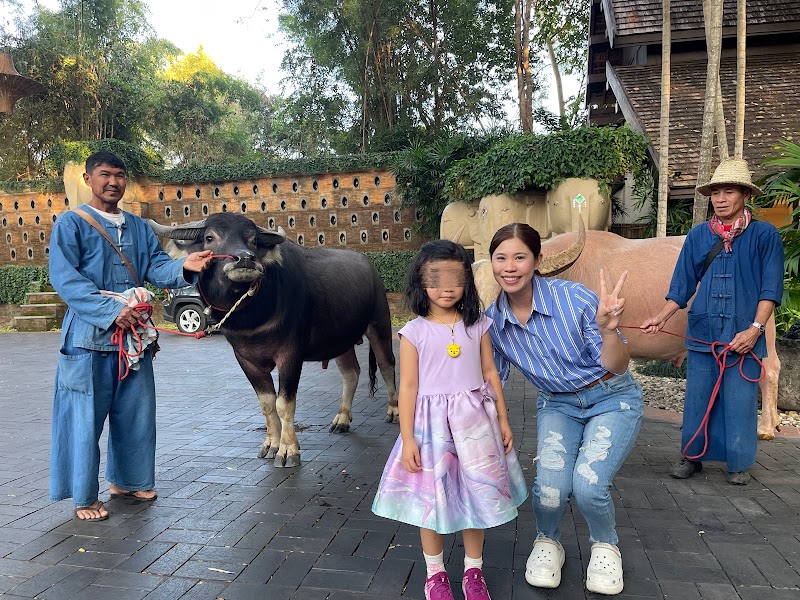Chiang Mai Babysitting & Nanny Services