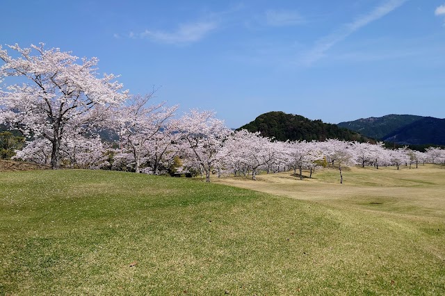Fujii Country Club - Photo 6