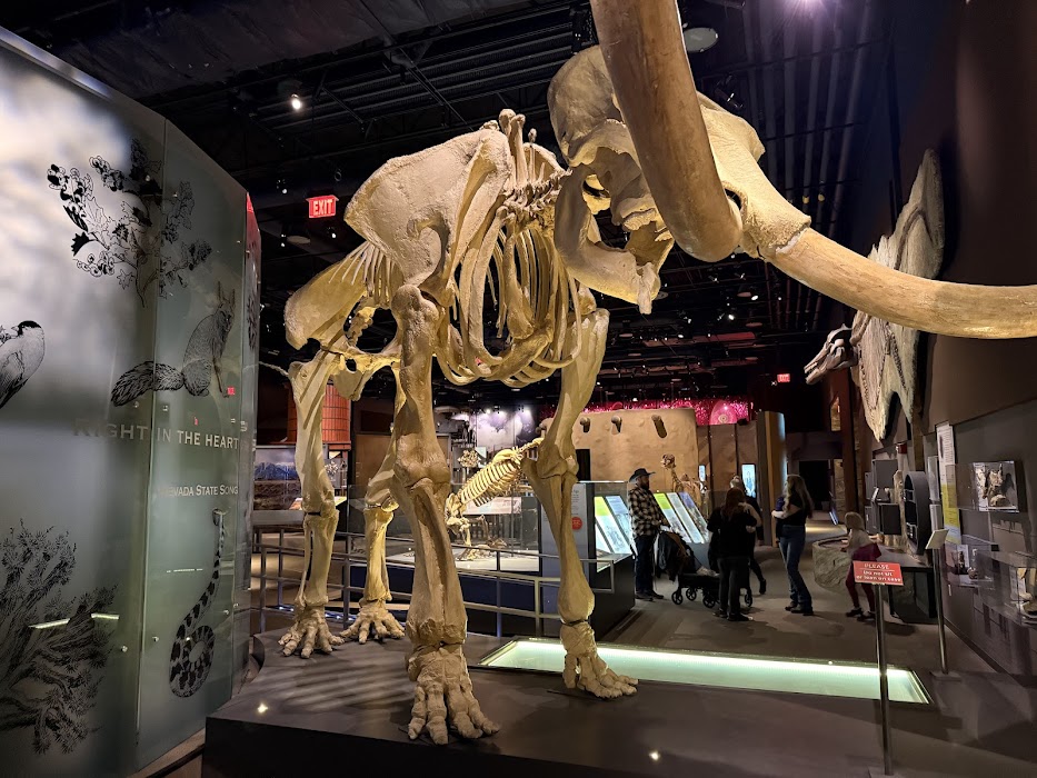 Nevada State Museum, Las Vegas fotoğraf 1