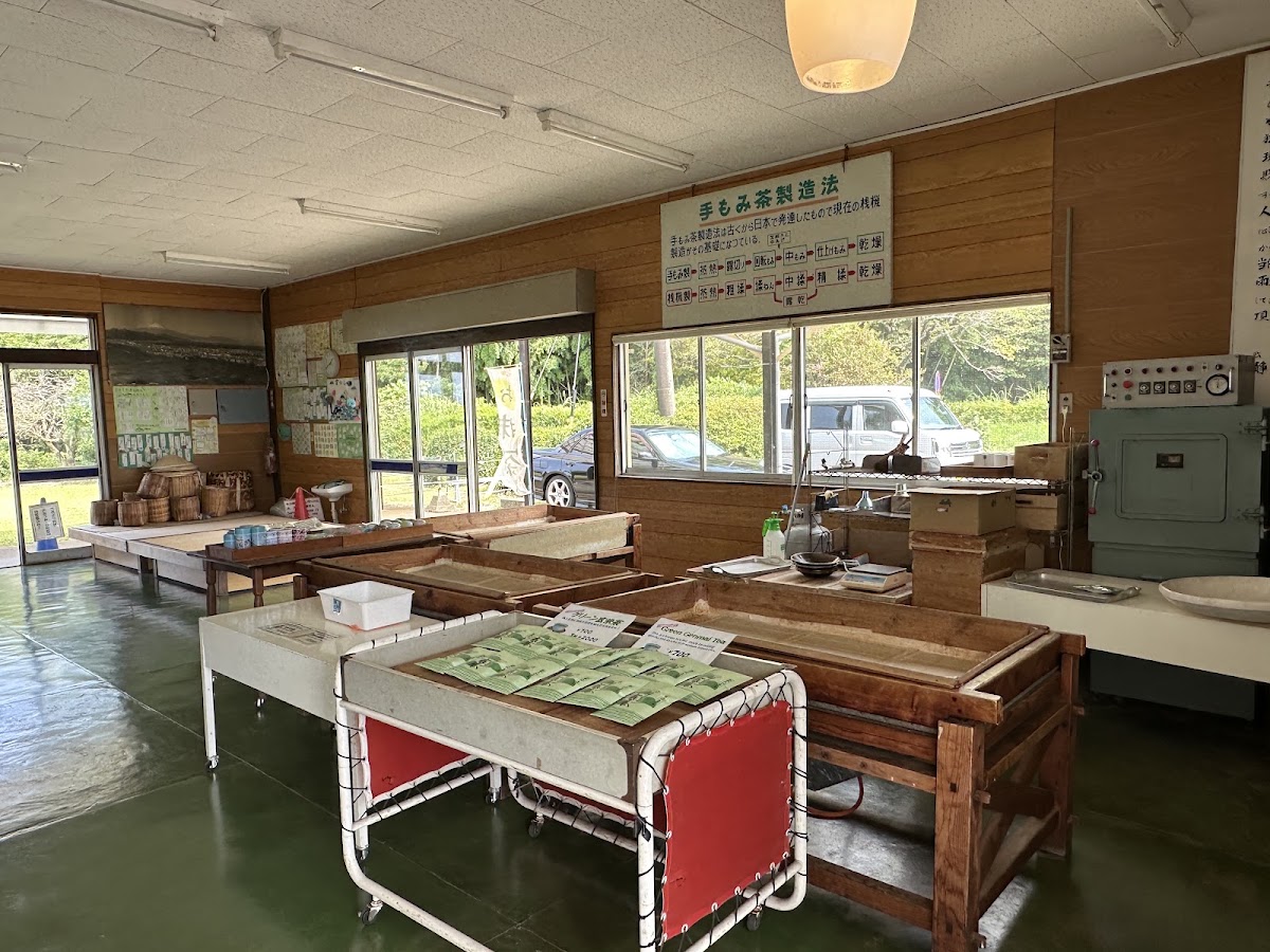 Shizuoka Tea: Tasting & the Tea Hills photo