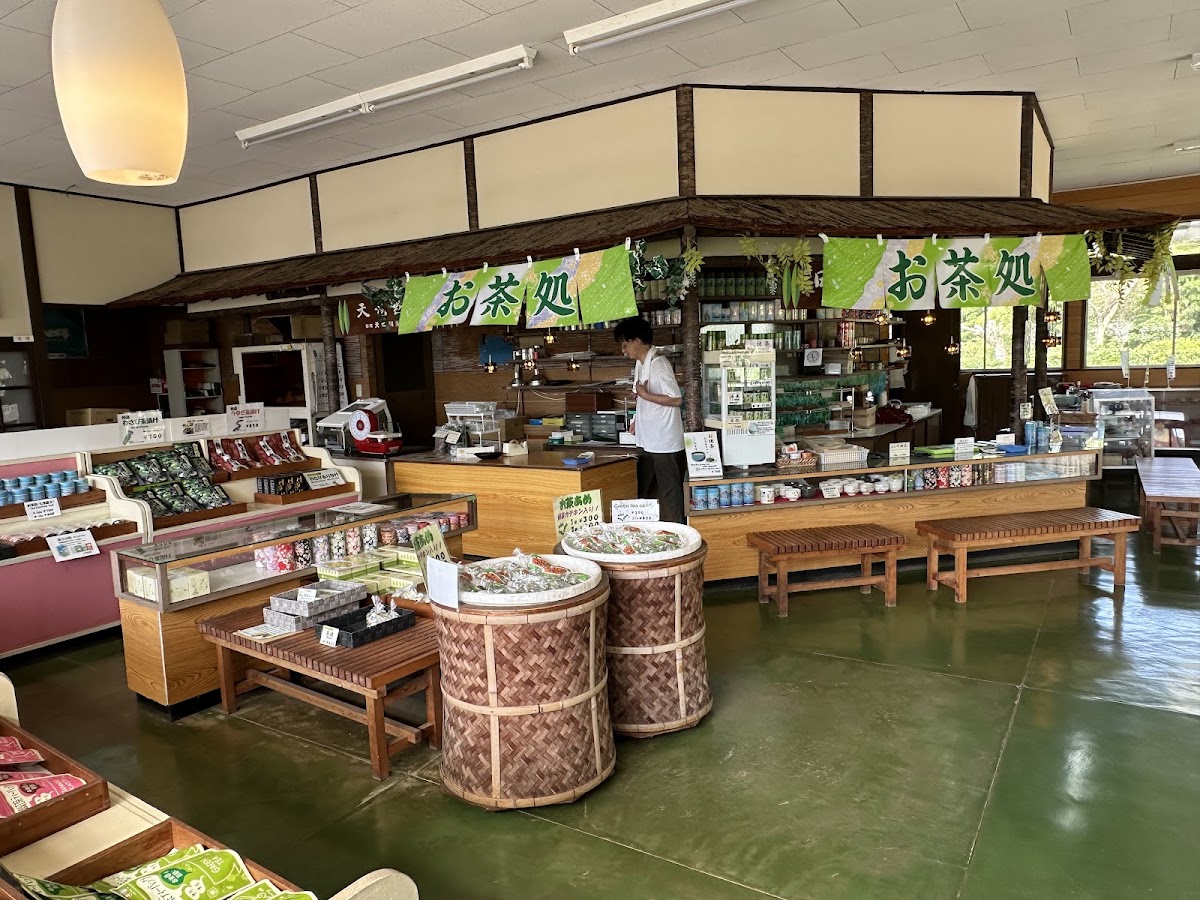 Shizuoka Tea: Tasting & the Tea Hills photo