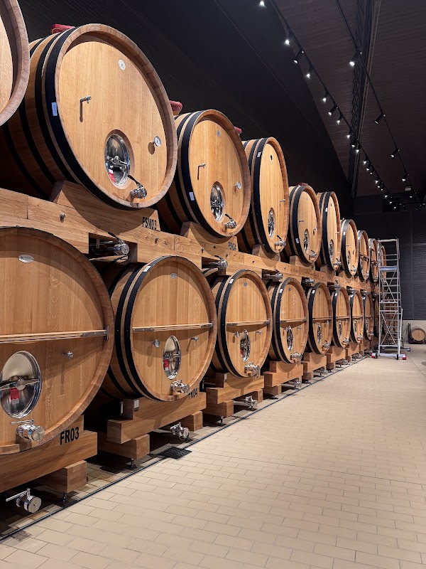 Bodegas Emilio Moro - Bierzo S.L.