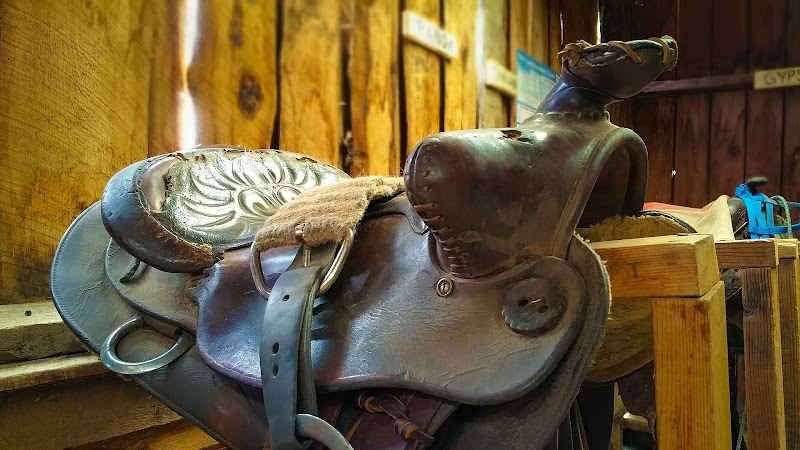 American Safari Ranch - Photo 5