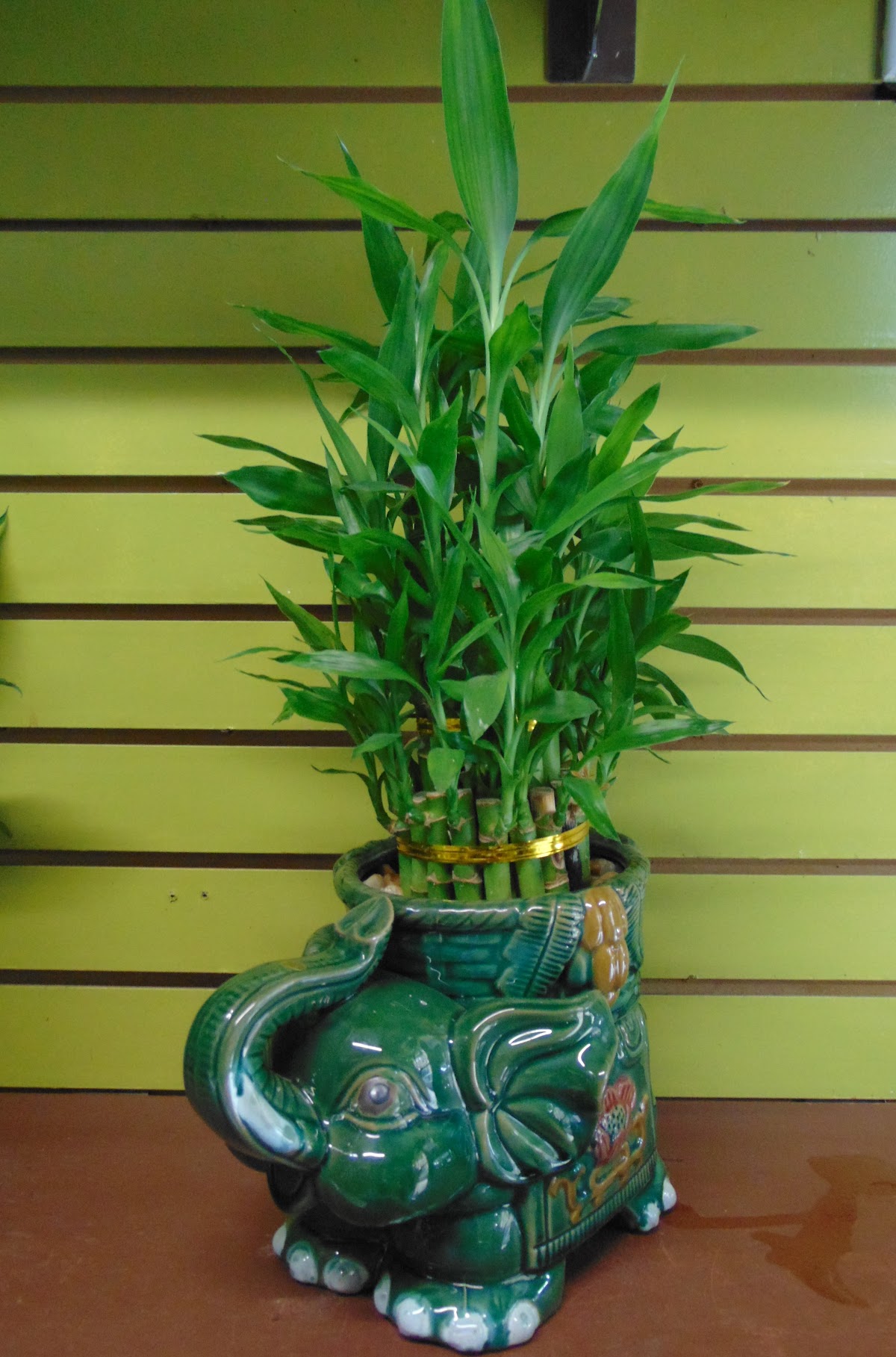 Mary's Florist Corp: Google Places image 3