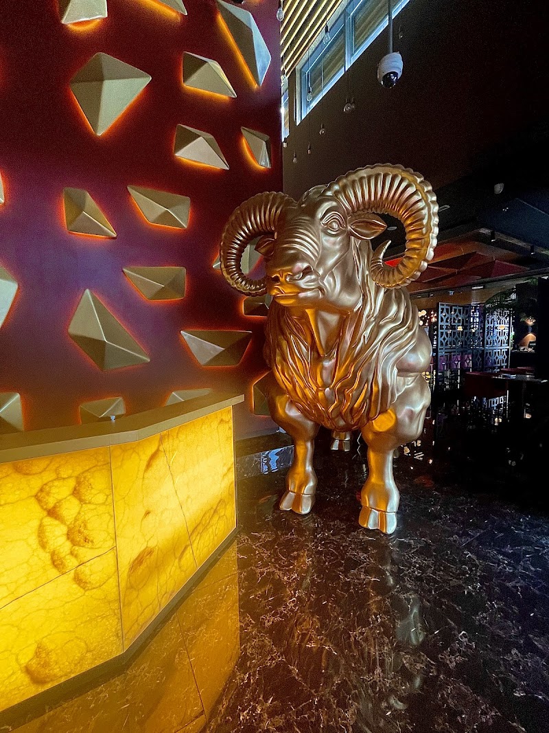 OCCO Restaurant Dubai photo 6