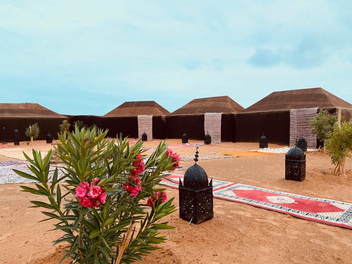 Sahara Wellness Camp — 4