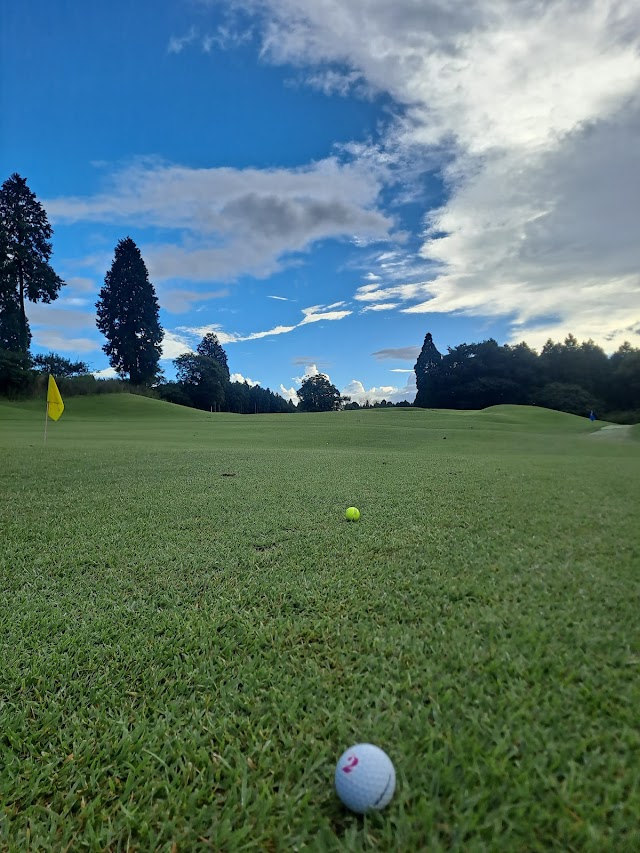 Aso Yamanami Resort Hotel & Golf Club - Photo 6