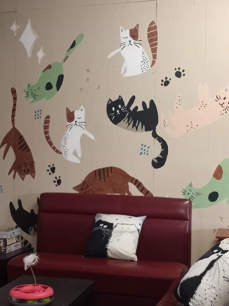 Gibson's Cat Café photo 4