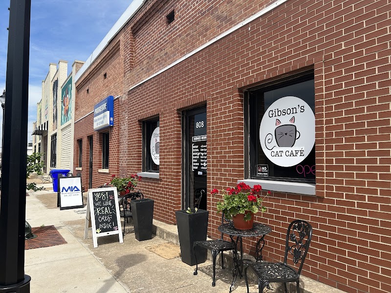 Gibson's Cat Café photo 1