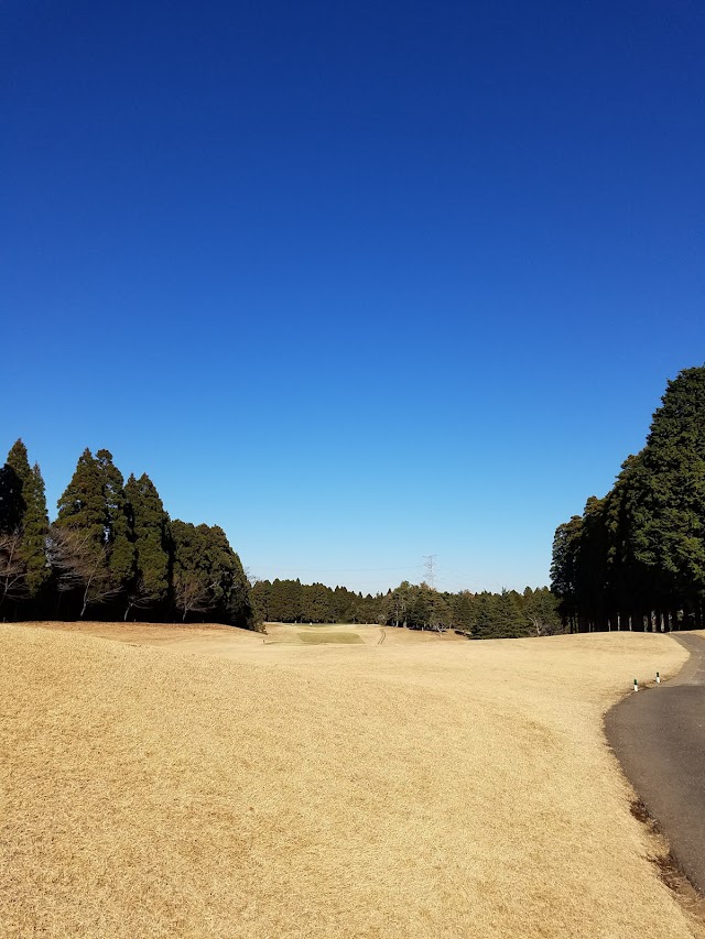 Chiba Kokusai Country Club - Photo 3