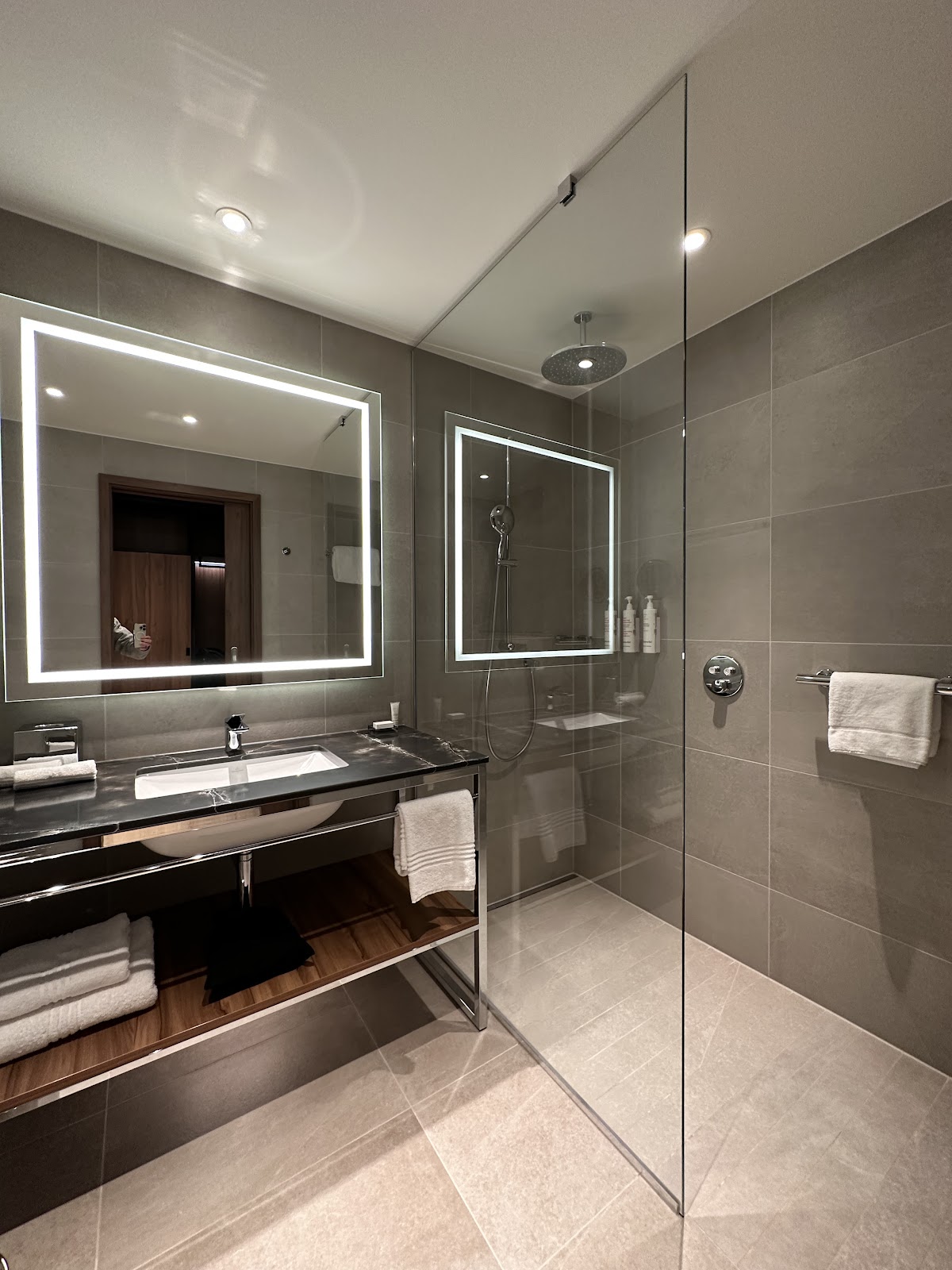 Geneva Marriott Hotel, dog-friendly hotel, photo 2
