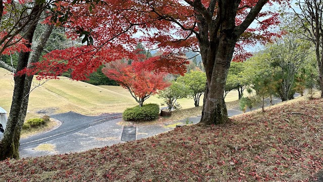 Orange Shiga Country Club - Photo 8