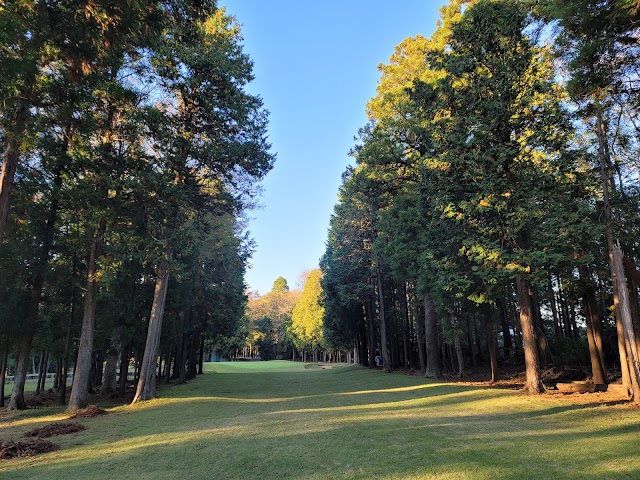 Fuji Golf Park - Photo 9