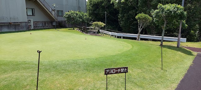 Fuji Golf Park - Photo 10