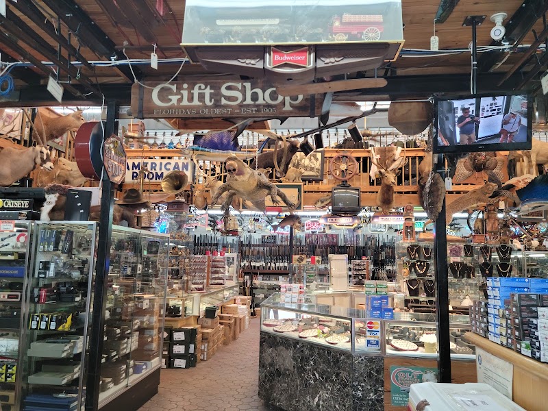 Aaa Gun and Pawn photo
