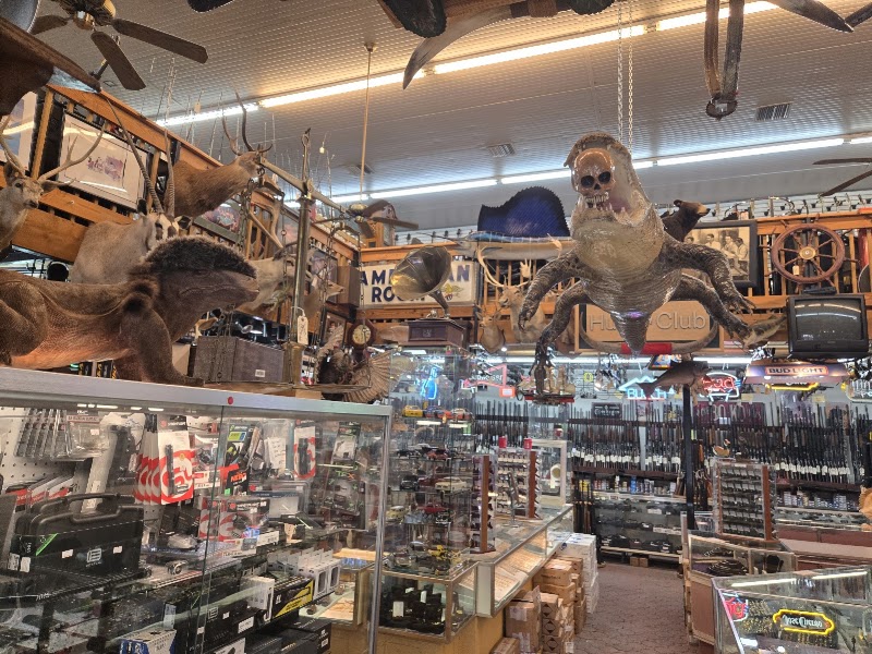 Aaa Gun and Pawn photo