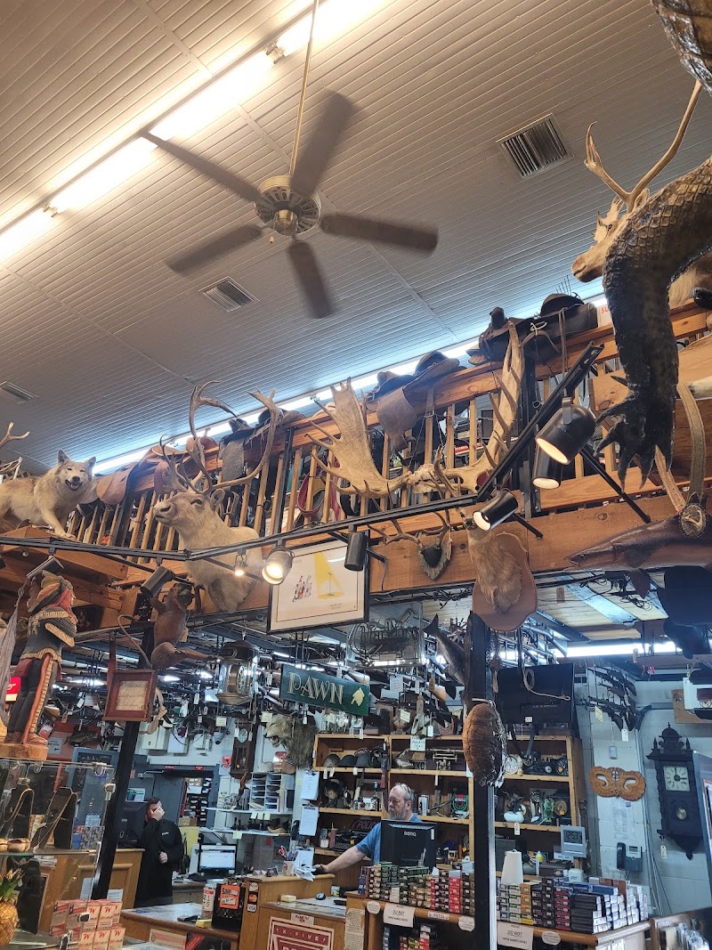 Aaa Gun and Pawn photo