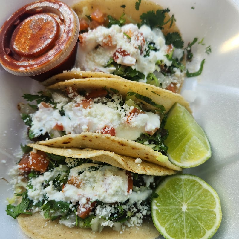 Bravo Express photo 2