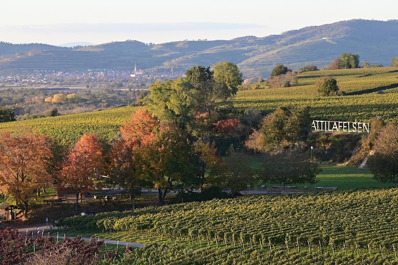 Скала Аттила, Нидерримзинген