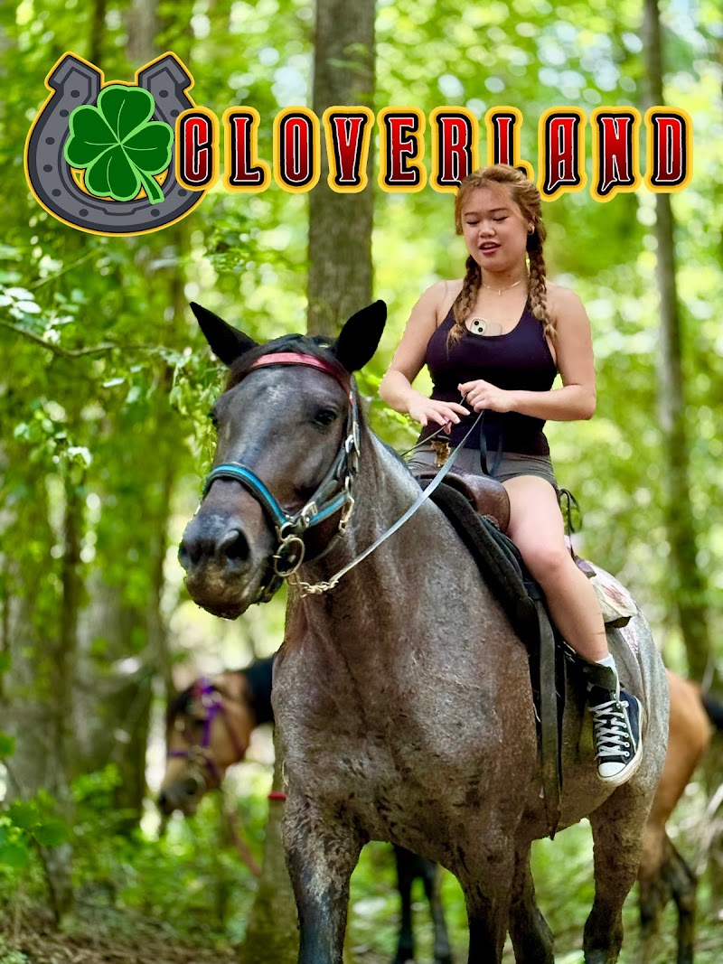 CloverLand ATL - Photo 2