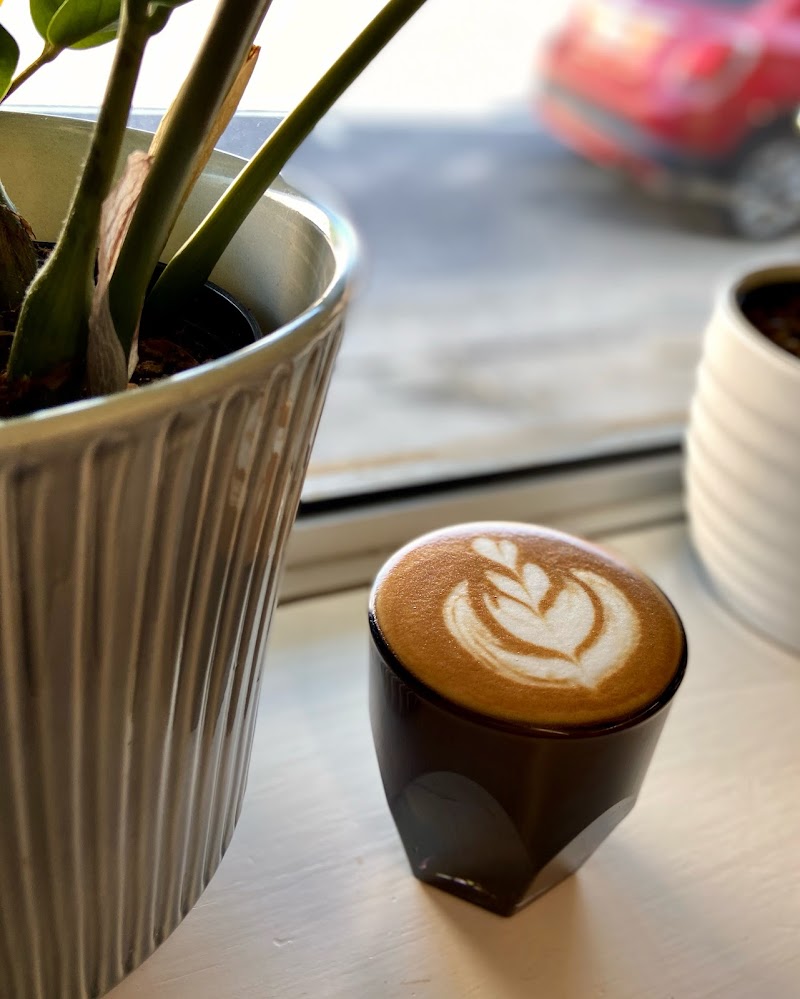 Seventh Square Coffee photo 2