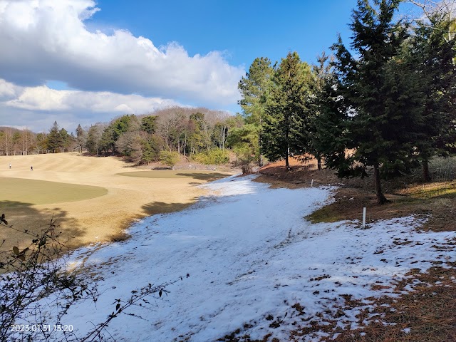 Dunlop Golf Course - Photo 10