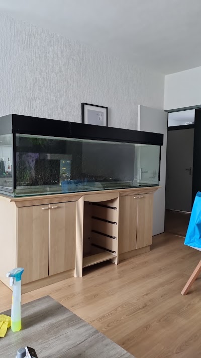 Foto van Movenetjes Verhuisbedrijf Utrecht