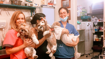 מרכז וטרינרי השחר - ד״ר ארז