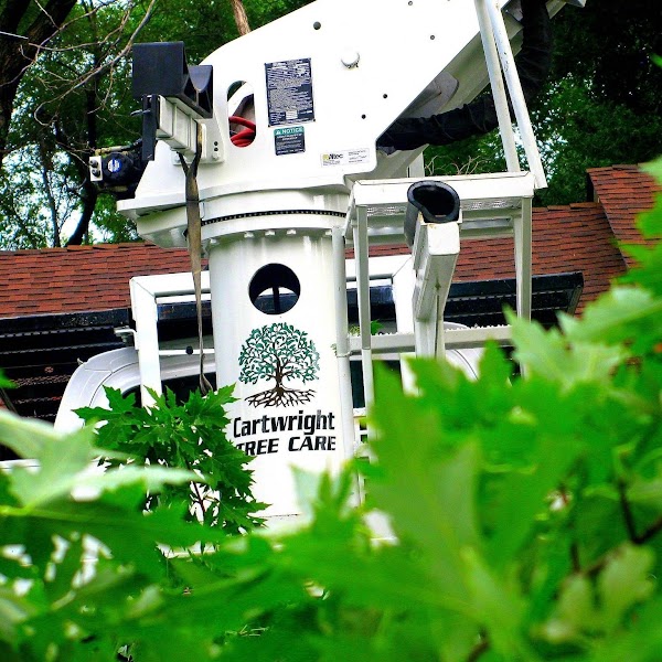 Cartwright Tree Care