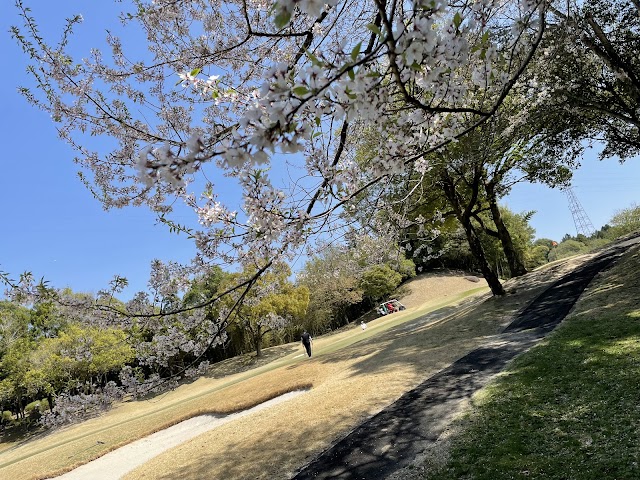 Chukyo Golf Club Ishino Course - Photo 9